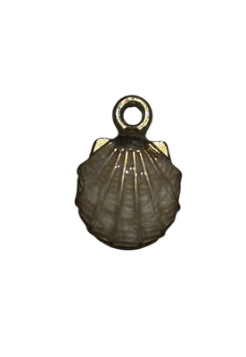 White Scallop